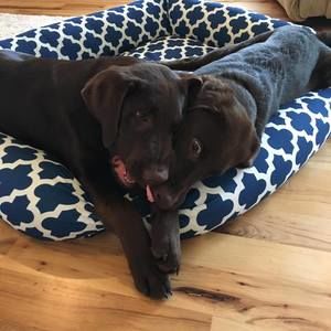 Meet your Posher, Christi